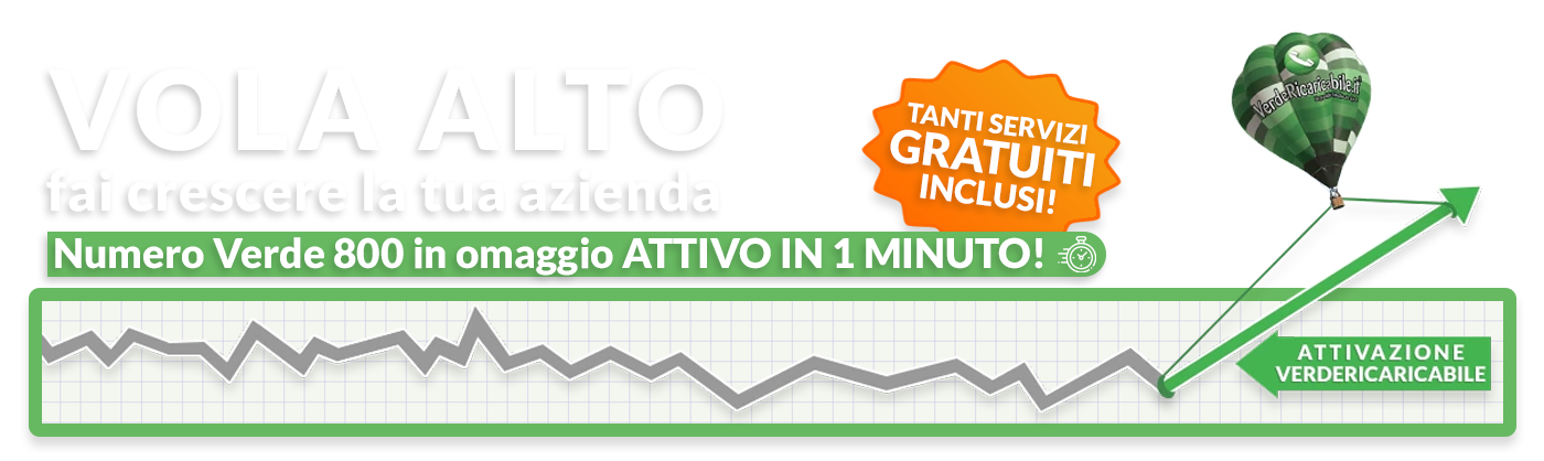 vola alto, fai crescere la tua azienda con VerdeRicaricabile